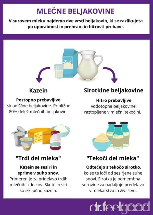 Infografika dveh vrst mlečnih beljakovin