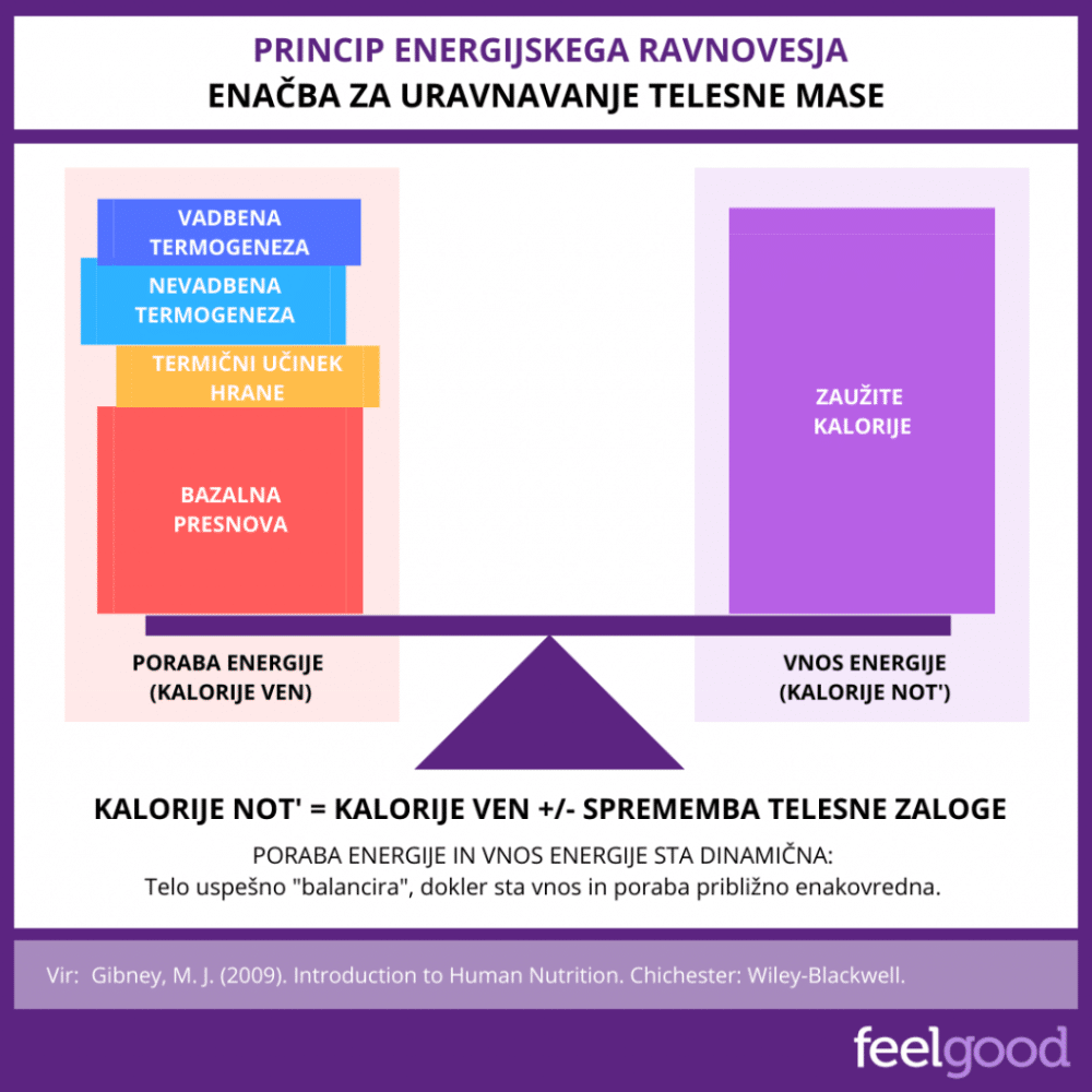 Feelgood_Princip-energijskega-ravnovesja