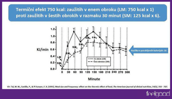 Feelgood_Termični-efekt-hranjenja