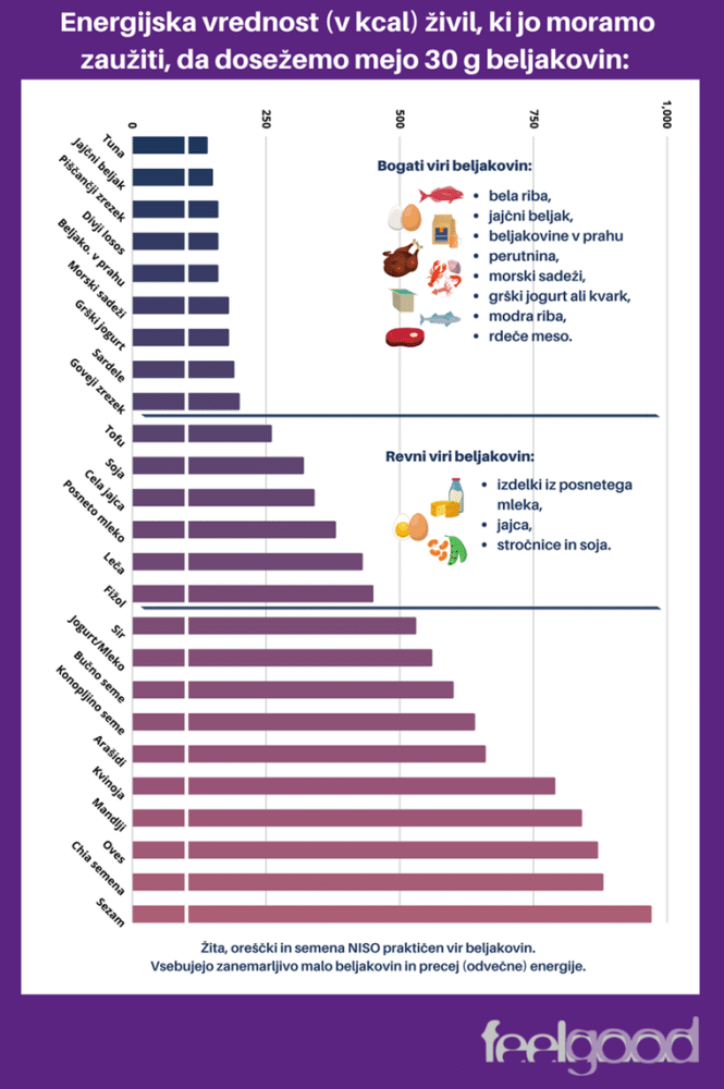Feelgood_beljakovinska-živila2