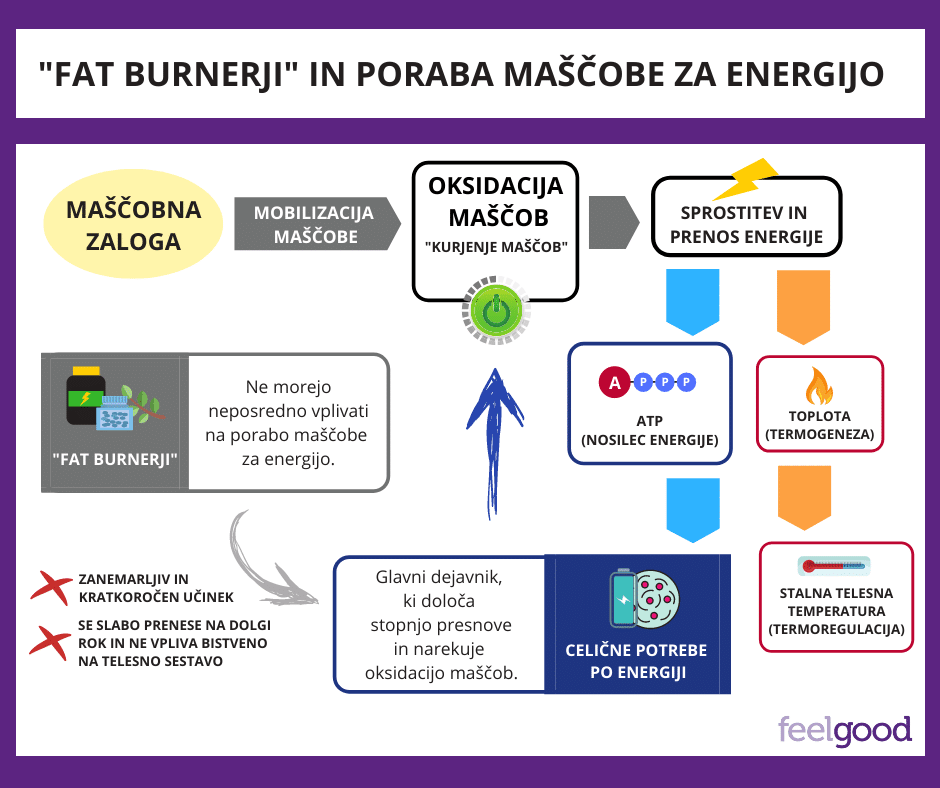 Feelgood_fat-burnerji-in-poraba-maščobe