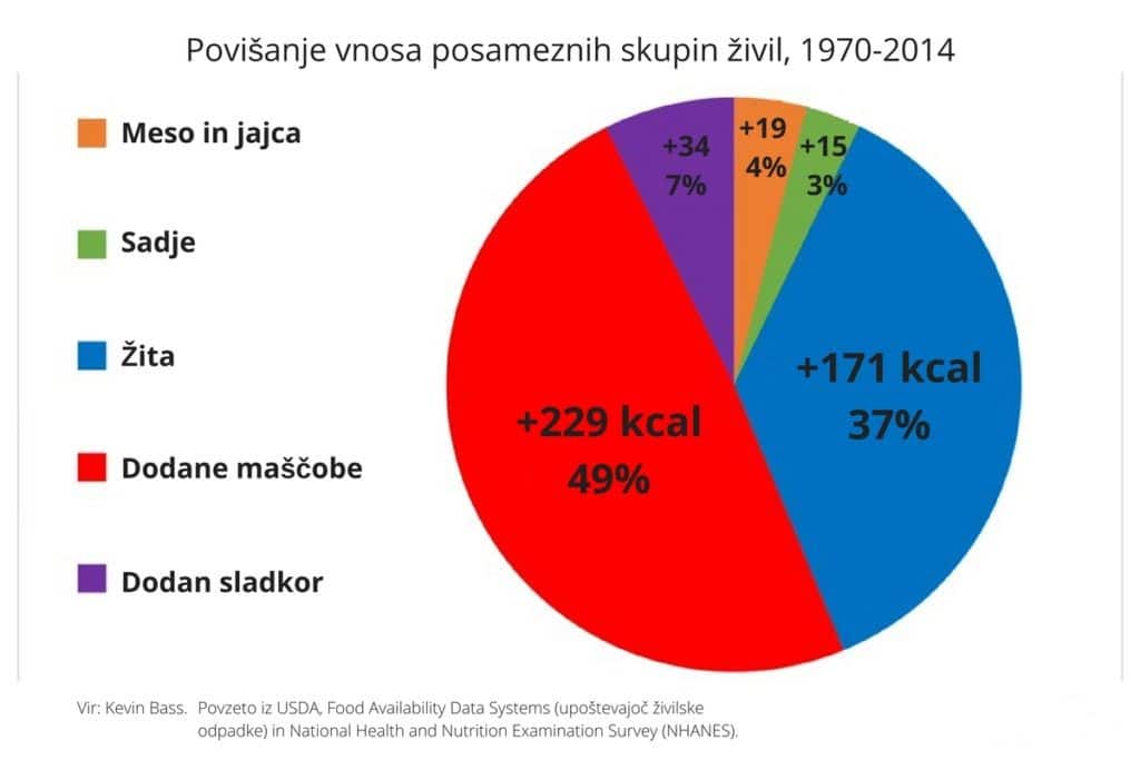 Feelgood_povišanje-vnosa-posameznih-živil